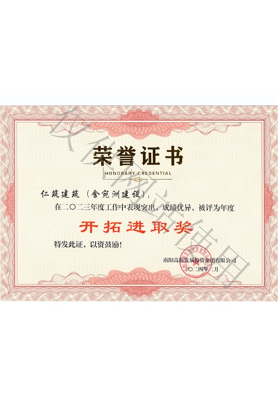 2025年度开拓进取奖证书