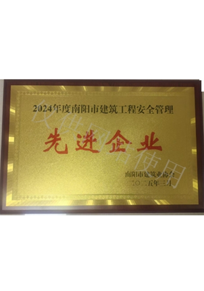 2025年度先进企业